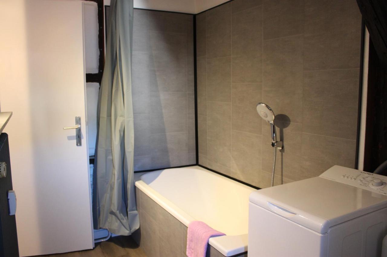 Appartement Les Violettes Colmar Eksteriør bilde